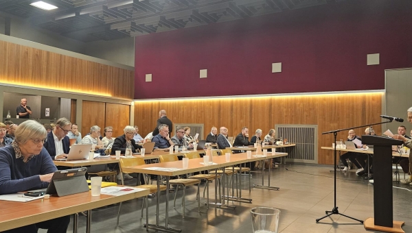 Aigle: le conseil communal accepte le nouveau règlement sur la protection de son patrimoine arboré, après de longues discussions